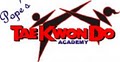 Pope's TaeKwonDo Academy image 3