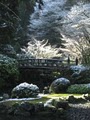 Portland Japanese Garden image 4