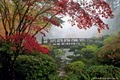 Portland Japanese Garden image 5