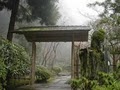 Portland Japanese Garden image 7