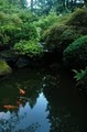 Portland Japanese Garden image 9