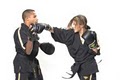Premier Martial Arts - Austin, TX image 4