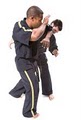 Premier Martial Arts - Austin, TX image 5