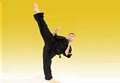 Premier Martial Arts image 2