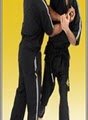Premier Martial Arts image 3