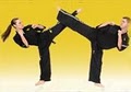 Premier Martial Arts image 4