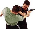 Premier Martial Arts image 1