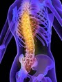 Pro Adjuster Chiropractic/Pain Relief/Disc Decompression/Back & Neck Pain 44511 image 5