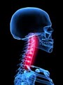 Pro Adjuster Chiropractic/Pain Relief/Disc Decompression/Back & Neck Pain 44511 image 6