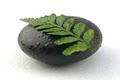 Pure Therapeutic Massage logo