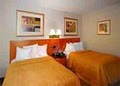 Quality Inn Skyline Drive image 10