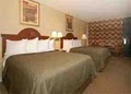 Quality Inn image 2