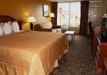 Quality Inn image 3