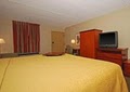 Quality Inn image 5