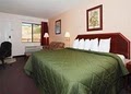 Quality Inn image 7