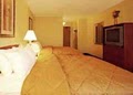 Quality Inn image 7