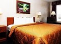 Quality Inn image 1