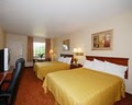 Quality Inn of Natchitoches image 5