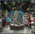 Rainforest Cafe - Disney World Marketplace image 1