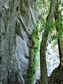 Raven Rock State Park logo