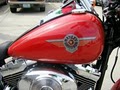 Rawhide Harley-Davidson image 4