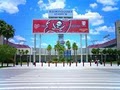 Raymond James Stadium image 4