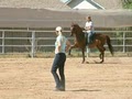 Red Mountain Horse Stables, Training and Reproduction image 2