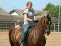 Red Mountain Horse Stables, Training and Reproduction image 3