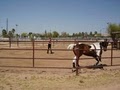 Red Mountain Horse Stables, Training and Reproduction image 8
