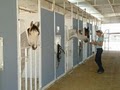 Red Mountain Horse Stables, Training and Reproduction image 10
