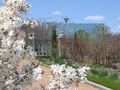 Reiman Gardens image 4