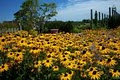 Reiman Gardens image 1