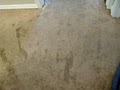 Renu Carpet and Tile Cleaning image 8