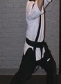 Revolution Martial Arts image 3