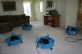 Rhino Power Inc. Carpet and Upholstery Cleaning image 6