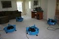 Rhino Power / Kissimmee Carpet, Upholstery, Tile, Air Duct Cleaning image 4
