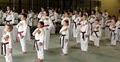 Rick Hall's Taekwondo Plus, Inc. image 6