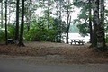 Rollins Pond Campground image 1