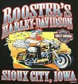 Rooster's Harley-Davidson Buell image 3