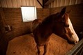 Rosebud Ranch Horse Stables - Office image 3