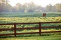 Rosebud Ranch Horse Stables - Office image 5