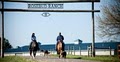 Rosebud Ranch Horse Stables - Office logo