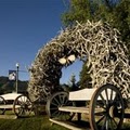 Rustic Inn at Jackson Hole Creekside Resort image 4