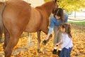 SPORTS NATURE RIDING & REC. CENTER, Horse Back Riding Lessons, Horse Boarding image 2