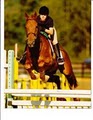 SPORTS NATURE RIDING & REC. CENTER, Horse Back Riding Lessons, Horse Boarding image 3