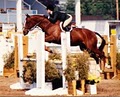 SPORTS NATURE RIDING & REC. CENTER, Horse Back Riding Lessons, Horse Boarding image 4
