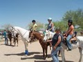 S.T.A.R.S. of Horsemanship image 7