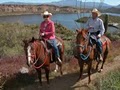 Saguaro Lake Trail Rides image 5