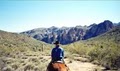 Saguaro Lake Trail Rides image 8