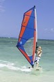 Sailboards Miami Kayak, Windsurf, Paddle Board image 3